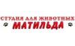 Студия Матильда