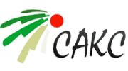 САКС Игрушки