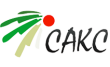 Сакс